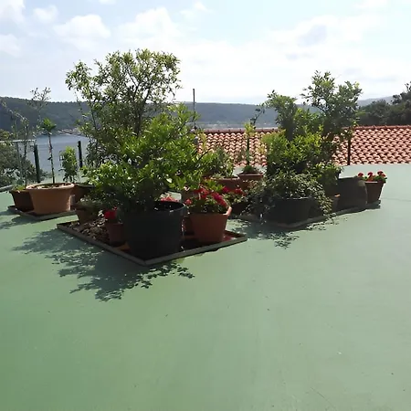 Maison d'hôtes By The Sea Supetarska Draga - Donja - Rab - 23068 Rab Town